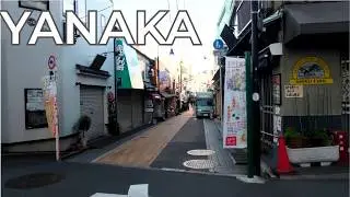 Tokyo Nippori Morning Walk 2025.12 Part1