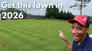 Happy New Year 2026 - Golf Course Lawn - 287