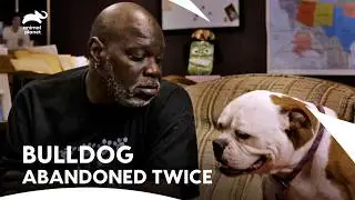 This Rescued Dog Reunited With Family After Months Apart❤️| Pit Bulls & Parolees | Animal Planet