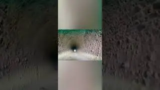 Secret Tunnel #shorts
