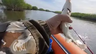 ШЕСТЬ ЧАСОВ РЫБАЦКОГО СЧАСТЬЯ.