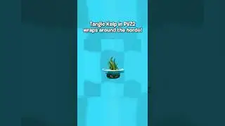 Tangle Kelp Is Shorely A Good Pick For You!