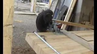 Abbund n&ouml;rdlicher Teil.wmv