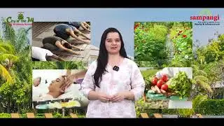 sampangi city of joy wellness resort in hyderabad details(8886162612)#NatureResort#WellnessRetreat