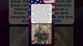 The Lion Who Gave It Back
