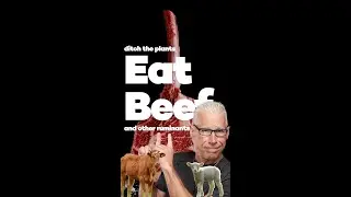 We're frying in plants. Eat beef and other ruminant animals for ultimate health. #shorts