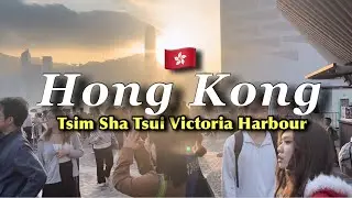 Tsim Sha Tsui Victoria Harbour Walk | Christmas in Hong Kong 🎄🇭🇰