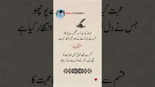 SACCHA PYAR KYA HAI 🥺 #poetry #viral #status #shayari #love #sad #urdu #shorts #sadstatus #whatsapp