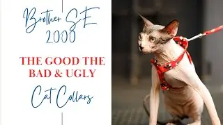The Good, Bad, & Ugly Truth of Crafting Cat Collars