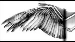 Indigo - Alas Humanas