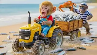 Coco Monkey & Nana Monkey&rsquo;s Hilarious Fishing Adventure 🐒🎣 | Coco&rsquo;s Catch, Nana&rsquo;s Fun Distraction 😄🐟