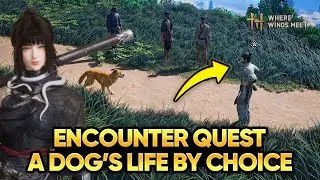 How to Complete A Dog&rsquo;s Life by Choice (Encounter Quest) | Where Winds Meet