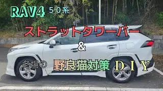 #RAV4 ストラットタワーバーの取付と冬場の野良猫対策。