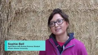 Софи Белл рассказывает о кормлении телят с помощью молочного фургона JFC Agri Milk Kart