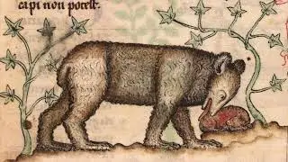 The Bear and The Bard