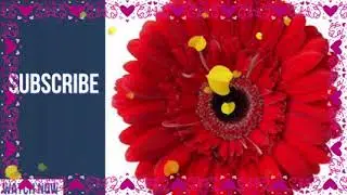 ஆதி பாரதி கணவன் மனைவி மித்ராவை வெளுத்த பாட்டி