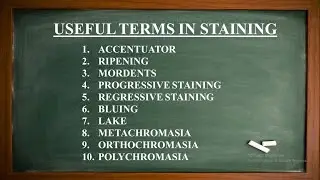 USEFUL TERMS IN STAINING - ACCENTUATORS, RIPENING,MORDANTS,BLUING,LAKE /STAINING PART 2