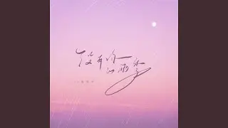 没有你的雨季