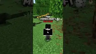 Tips early game di Minecraft