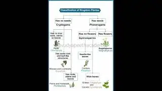 Plant kingdom #shorts #biology #plants #kingdom
