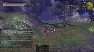 RaiderZ Revolution