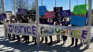 Local group demands action against animal cruelty week after viral video