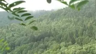ŽiariSlav - Pri prastarom dube