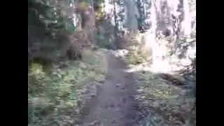 ATV Ride on an Oregon Trail