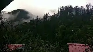 Monsoon magic - Jibhi Cafe and Cottages