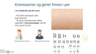 DNA, gener og replikasjon