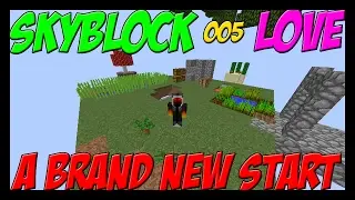 SkyBlock SkyRegions Love - Expanding The Automatic Cactus Farm - 005