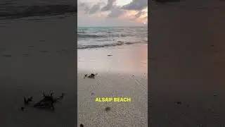 ALSAIF beach Jeddah #alsaifbeach