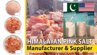 mango export from pakistan to uk | export and import business in Pakistan | rice market in Pakistan