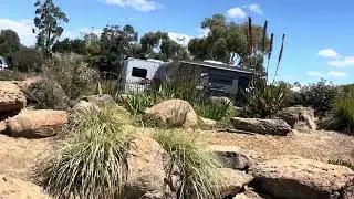 Best so far for our dogs since being on the road