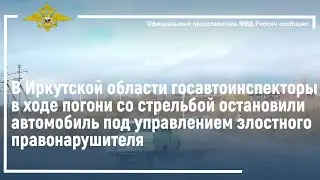 Ирина Волк: Госавтоинспекторы остановили автомобиль под управлением злостного правонарушителя