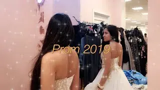 PROM Dress Shopping 2019!