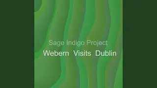Webern visits Dublin