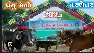તરણેર પશુ મેળો ૨૦૨૫ જોવા ગિર અને કાકરેજ ગાયુ ખુબજ સારી ગાય @RiteshGaadheGir નો કાકરેજ બુલ લાડે જોયો🐄