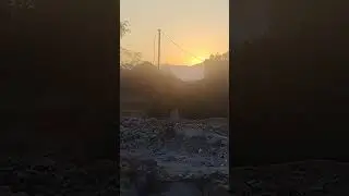 sun rise in rajaji national park and spotted deer calling
