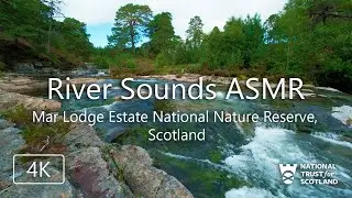 1 Hour River Sounds ASMR | Mar Lodge Estate, Scotland | Relaxing Nature Water Ambience