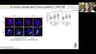 mRNA Nuclear Clustering Leads to a Difference in Mutant HTT mRNA and Protein Silencing | Sarah Allen