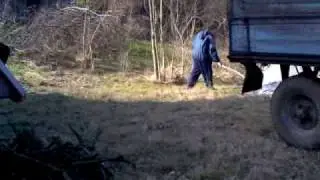 &Scaron;umarak krađa drva