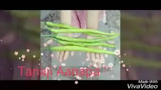 Swati Seeds Hy.chilli - Green slim. ,mo.94267 01432 ,94260 67260