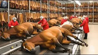 Inside a Modern Horse Leather Factory From Raw Hide to Luxury Fashion Products (Full Process)