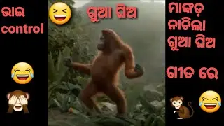 gua ghia song comedy/🤣odia comedy Dance #odiaviralsong#shorts comedy odia song@FunnyAngulia memes