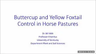 Buttercup and Yellow Foxtail Control in Horse Pastures-Bill Witt