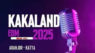 Kakaland EDM (Aranj&ouml;r Remix ft. Katya)