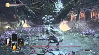 DARK SOULS&trade; III - Cursed Rotted Greatwood Boss Battle
