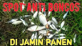 SPOT ANTI BONCOSSS!!! pengasih Kulon Progo