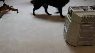 Hero Jr. in GUARD mode, a personal security system from 1984
